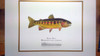 Hand-Embellished Golden Trout Limited Edition Giclee Print with a Remarque Depicting a Part of the Golden Trout Wilderness
