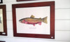 The Colorado River cutthroat trout limited edition giclee is sold framed as an unmatted 18"x24" print. It is sold unframed as a 16x20 matted print.