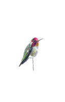 Perched Anna's Hummingbird (Calypte anna) 8x10 Matted Fine Art Print