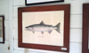 The limited edition Russian River steelhead giclee print is framed at the same size as the original (18"x24") and without a mat.
