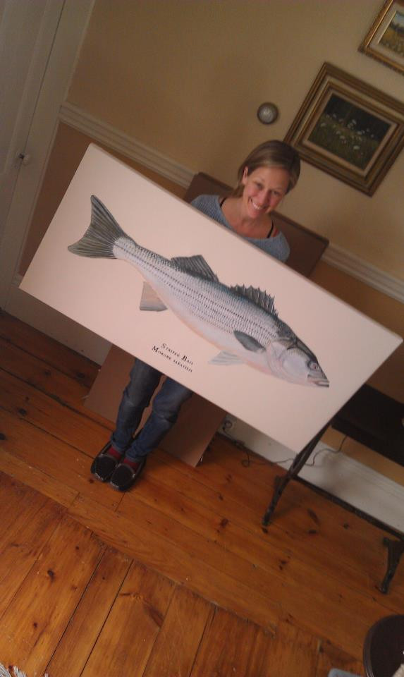 Striped Bass Morone Saxatilis 48 X 24 Gallery Wrapped Limited Edition Giclee Print Karen Talbot Art