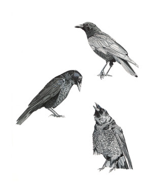 This print arrives matted in a double mat with black reveal and hand-signed by Karen.