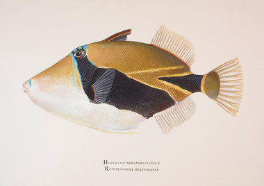 This painting is available as a large, gallery-wrapped limited edition giclee and comes ready to hang (no framing required).