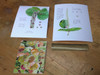 The artist's proof of the sea grape flower limited edition giclee is pictured here with the two other artist's proofs in the series.