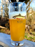 Angler's Pint - Brook Trout