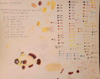 Original ORA Gold Nugget Clown Study #2