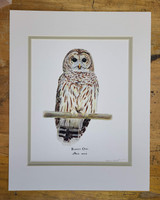 Barred Owl 11"x14" Matted Fine Art Print