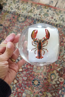 The lobster can be added to a white or red wine glass. Contact Karen to discuss options. 