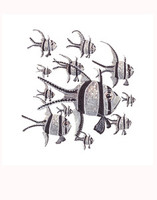 Banggai Cardinalfish Shoal 11x14 Matted Fine Art Print