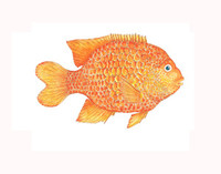 Garibaldi 11x14 Matted Fine Art Print