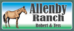 horses_10001