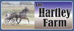 horses_20001