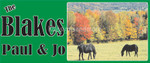 horses_20015
