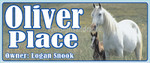 horses_30002