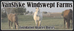 horses_40008