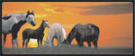horses_50010