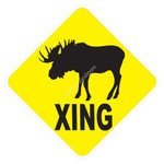 Caution_Xing_0011