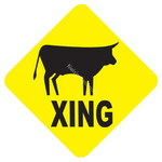 Caution_Xing_0021