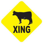 Caution_Xing_0022