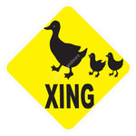 Caution_Xing_0027
