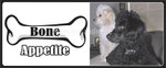 Dog_20008