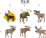 Elk