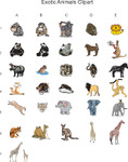 Exotic Animal Clipart