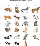 Miscellaneous Animal Clipart