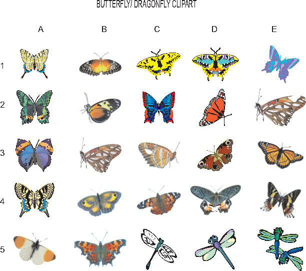 Wallpaper Butterfly Dragonfly Clipart Kiwi Signs And More Free