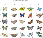 Butterfly/Dragonfly clipart
