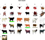 Bull Clipart
