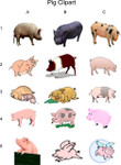 Pig Clipart