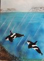 Killer Whales - in landscape too