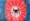 Spiderman symbol in web