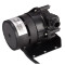 6000-125, OEM Jacuzzi 115v circulation pump