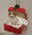 Brittany Gift Box Ornament