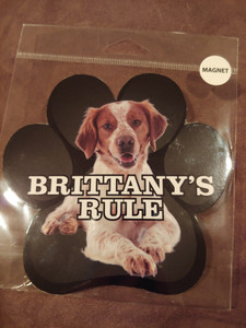 New "Brittany's Rule" Vehicle Magnet