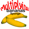 Set of Two Sponge Bananas