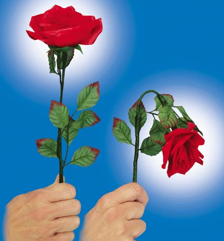 Luxury 90 Card Magic Trick Flower