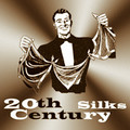 20th Century Silks 18" Size - From Europe