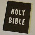 Holy Bible Coloring Book by Doc Haley