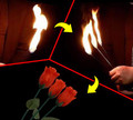 Split Torch to Rose by JL Magic