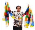 Multicolor Silk Streamer 6 Inches by 32 Feet