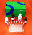 E. coli Host Cell Protein ELISA kit