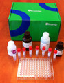 CHO Host Cell Protein ELISA Kit