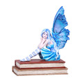 PT12624 - 6.5" Book Muse Fairy