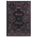PT14199 - 8.25" Book of Magic Blank Page Journal