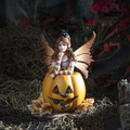 PT14921 - 6.68" Mischief Fairy on Pumpkin