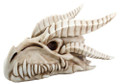 Y8169 - White Dragon Skull