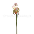 PT08973 - 16" Sheila Wolk - Lady Slipper Orchid Stem Flitty